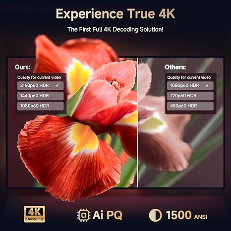 Dolby and DTS audio support